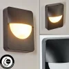 hofstein Applique murale d'extérieur Primera, 1 lumière* Lampes Modernes