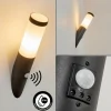 hofstein Applique murale d'extérieur Ruti Noir, 1 lumière, Détecteur de mouvement* Lampes Modernes