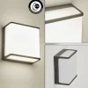 hofstein Applique murale d'extérieur Burseryd LED Anthracite, Blanc, 1 lumière* Lampes Modernes