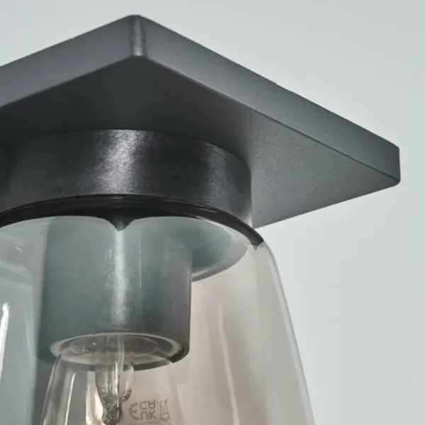 hofstein Applique murale d'extérieur Aquin Anthracite, 1 lumière* Lampes Modernes