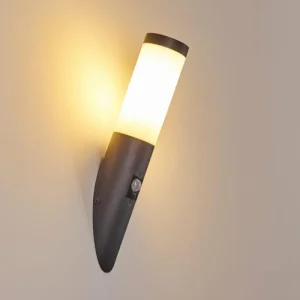 hofstein Applique murale d'extérieur Gaborone Anthracite, 1 lumière, Détecteur de mouvement* Lampes Modernes