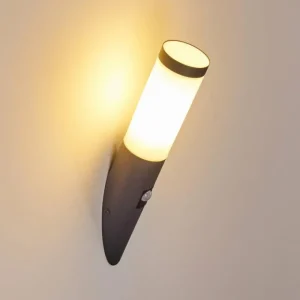 hofstein Applique murale d'extérieur Gaborone Anthracite, 1 lumière, Détecteur de mouvement* Lampes Modernes