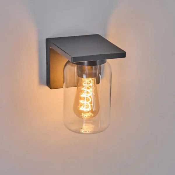 hofstein Applique murale d'extérieur Aquin Anthracite, 1 lumière* Lampes Modernes
