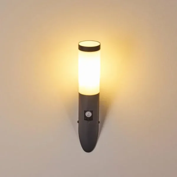 hofstein Applique murale d'extérieur Gaborone Anthracite, 1 lumière, Détecteur de mouvement* Lampes Modernes
