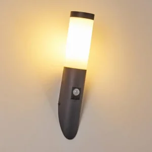 hofstein Applique murale d'extérieur Gaborone Anthracite, 1 lumière, Détecteur de mouvement* Lampes Modernes