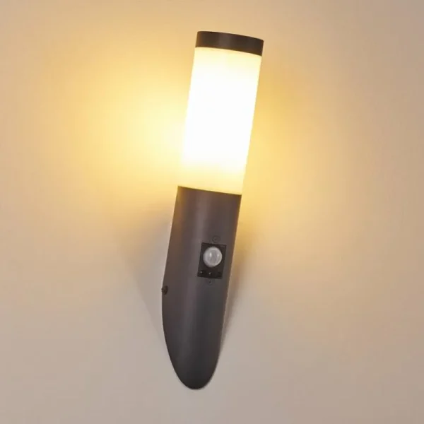hofstein Applique murale d'extérieur Gaborone Anthracite, 1 lumière, Détecteur de mouvement* Lampes Modernes