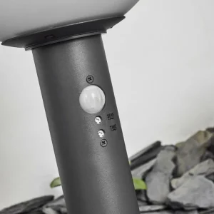 hofstein Borne lumineuse Bubodefo Anthracite, 1 lumière, Détecteur de mouvement* Lampes Modernes