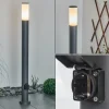hofstein Borne lumineuse Caserta Anthracite, 1 lumière* Lampes Modernes