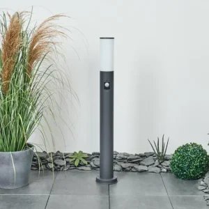 hofstein Borne lumineuse Caserta Anthracite, 1 lumière, Détecteur de mouvement* Lampes Modernes