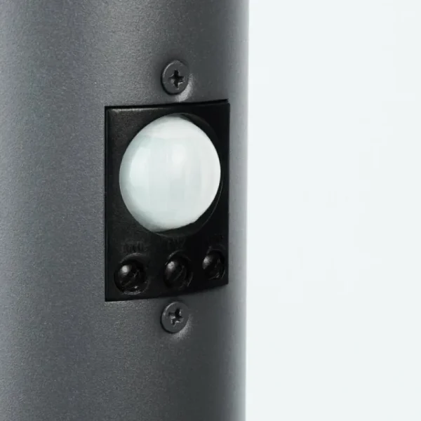 hofstein Borne lumineuse Caserta Anthracite, 1 lumière, Détecteur de mouvement* Lampes Modernes