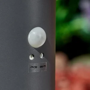 hofstein Borne lumineuse Dakar Anthracite, 1 lumière, Détecteur de mouvement* Lampes Modernes