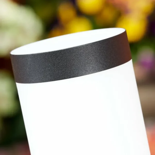 hofstein Borne lumineuse Ruti Noir, 1 lumière, Détecteur de mouvement* Lampes Modernes