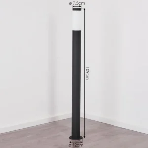 hofstein Borne lumineuse Ruti Noir, 1 lumière* Lampes Modernes