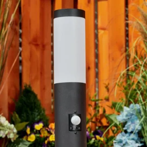 hofstein Borne lumineuse Ruti Noir, 1 lumière, Détecteur de mouvement* Lampes Modernes