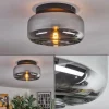 hofstein Boza Plafonnier, Boule lumineuse Fumé, 1 lumière* Lampes Modernes