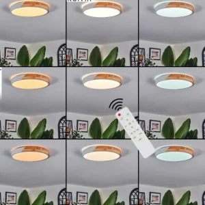 hofstein Cadaixo Plafonnier, Panel LED Blanc, 1 lumière, Télécommandes* Lampes Modernes