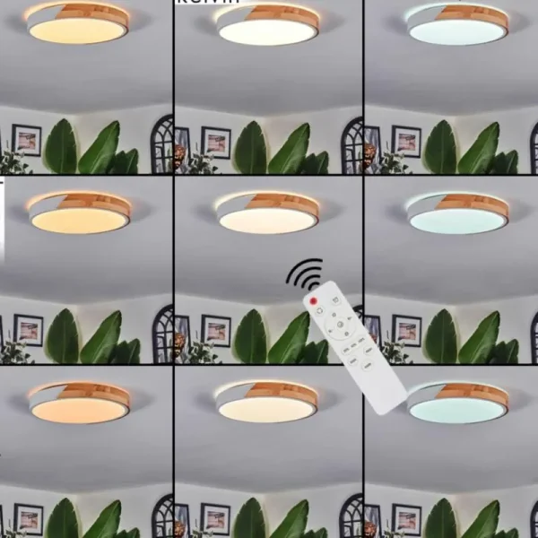 hofstein Cadaixo Plafonnier, Panel LED Blanc, 1 lumière, Télécommandes* Lampes Modernes