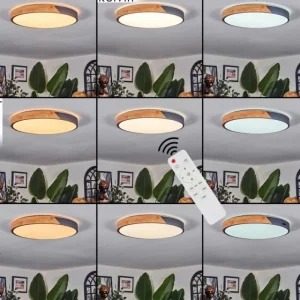 hofstein Cadaixo Plafonnier, Panel LED Blanc, 1 lumière, Télécommandes* Lampes Modernes