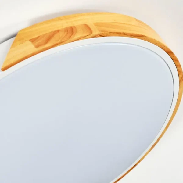 hofstein Cadaixo Plafonnier, Panel LED Blanc, 1 lumière, Télécommandes* Lampes Modernes