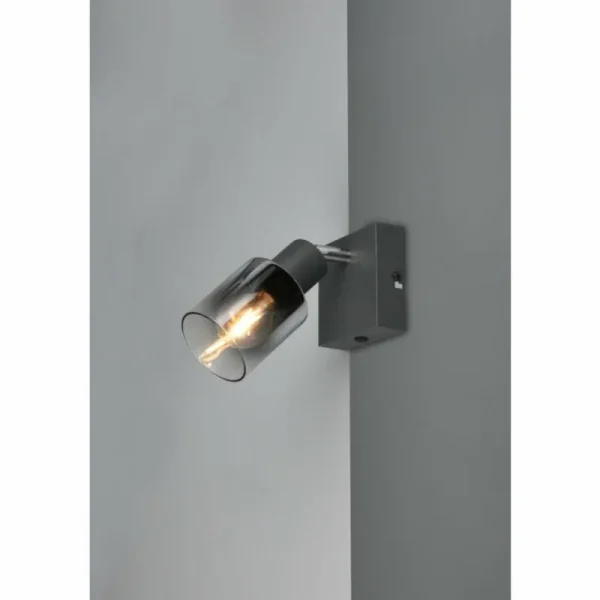 Luminaires Reality Cadiz Spot de plafond Anthracite, 1 lumière* Lampes En Verre