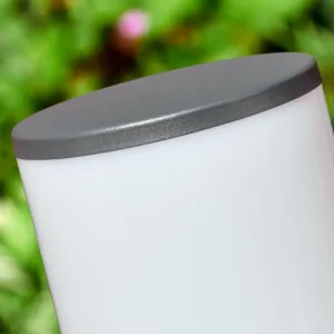 hofstein Caserta Eclairage de chemin Anthracite, 1 lumière, Détecteur de mouvement* Lampes Modernes