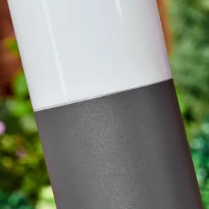 hofstein Caserta Lampe à prise électrique, Eclairage de chemin Anthracite, 1 lumière* Lampes Modernes