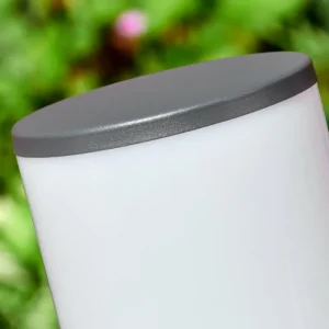 hofstein Caserta Lampe à prise électrique, Eclairage de chemin Anthracite, 1 lumière* Lampes Modernes