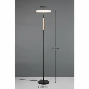 Luminaires Trio Celeste Lampadaire LED Brun, 1 lumière* Lampes En Verre