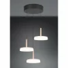 Luminaires Trio Celeste Suspension LED Brun, 1 lumière* Lampes En Verre