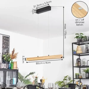 hofstein Fugelsta Suspension, Suspension LED Noir, 1 lumière* Lampes Modernes