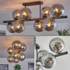 hofstein Gastor Plafonnier, Boule lumineuse Fumé, 8 lumières* Lampes Modernes