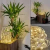 hofstein Guirlande solaire Pistoia LED Blanc, 120 lumières* Lampes Modernes
