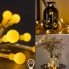 hofstein Guirlande Sondrio LED, 100 lumières* Lampes Modernes