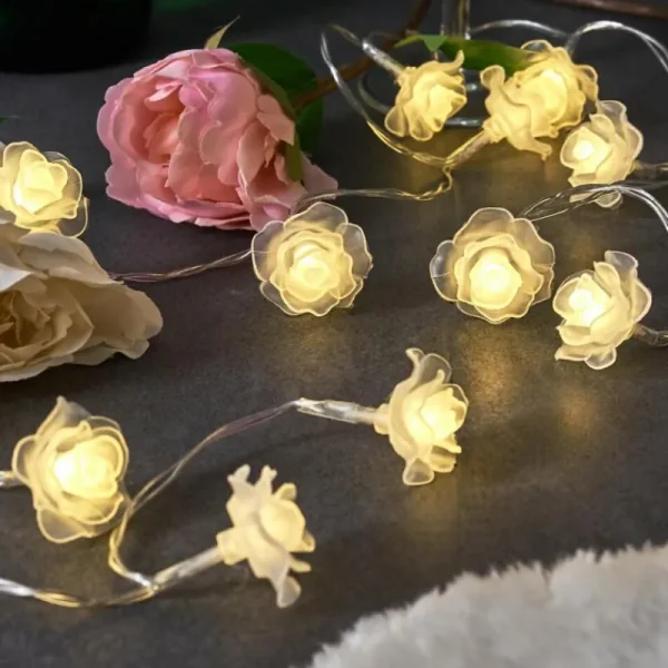 hofstein Guirlande Sondrio LED, 30 lumières* Lampes Modernes