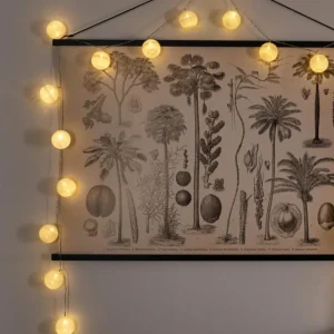 hofstein Guirlande Sondrio LED, 20 lumières* Lampes Modernes