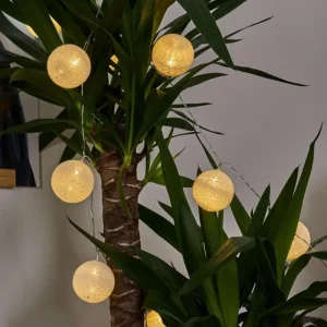 hofstein Guirlande Sondrio LED, 20 lumières* Lampes Modernes