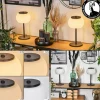 hofstein Izenave Lampe à poser, Liseuse Noir, 1 lumière* Lampes En Verre