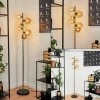hofstein Lampadaire Chehalis LED Laiton, Noir, 6 lumières* Lampes En Verre