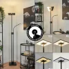 hofstein Lampadaire à vasque Janze LED Noir, 2 lumières* Lampes Modernes
