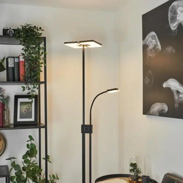 hofstein Lampadaire à vasque Janze LED Noir, 2 lumières* Lampes Modernes