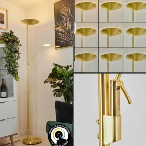 hofstein Lampadaire à vasque Murca LED Laiton, 2 lumières* Lampes Modernes
