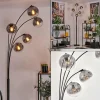 hofstein Lampadaire - Verre 15 cm Gastor Clair, Fumé, 5 lumières* Lampes Modernes