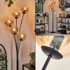 hofstein Lampadaire - Verre 15 cm Gastor Ambre, Clair, 5 lumières* Lampes En Verre