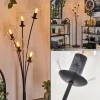 hofstein Lampadaire - Verre 15 cm Gastor Clair, 5 lumières* Lampes En Verre