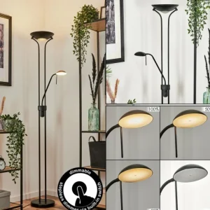 hofstein Lampadaire Biot LED Noir, 2 lumières* Lampes En Verre