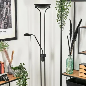 hofstein Lampadaire Biot LED Noir, 2 lumières* Lampes En Verre