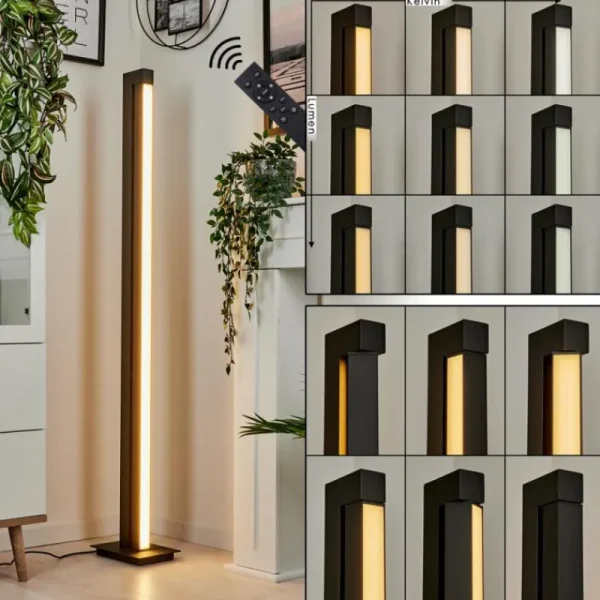 hofstein Lampadaire Dubuisson LED Anthracite, 1 lumière, Télécommandes* Lampes Modernes