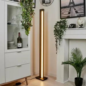 hofstein Lampadaire Dubuisson LED Anthracite, 1 lumière, Télécommandes* Lampes Modernes