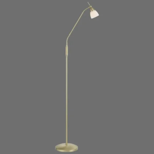 Luminaires Paul Neuhaus Lampadaire Paul Neuhaus PINO LED Laiton, 1 lumière* Lampes En Verre