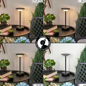 hofstein Lampe à poser Baigorrita LED Noir, 1 lumière* Lampes Modernes